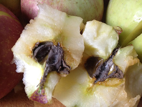 Rau quả Trung Quốc: Bí hiểm “chất lạ” - 2