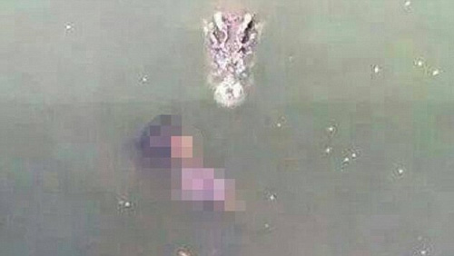 Thái Lan: Lao vào hồ nuôi 1000 con cá sấu để tự tử - 1