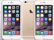 Dế sắp ra lò - iPhone 6 và iPhone 6 Plus phá kỷ lục bán hàng của Apple