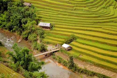 Ghé thăm mùa vàng Mù Cang Chải - 10