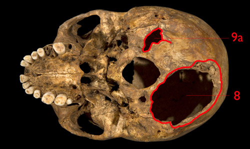 Vua Anh chết đau đớn trên chiến trường vì 1 con ngựa - 3