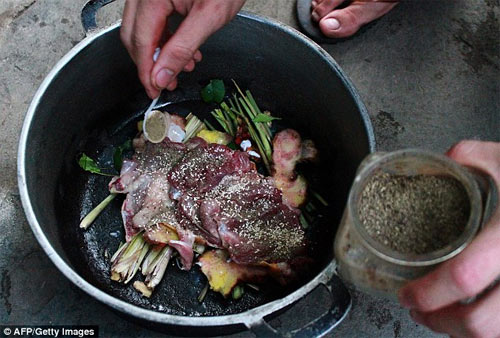 Việt kiều thịt mèo hàng xóm vì nhớ "hương vị quê hương" - 1