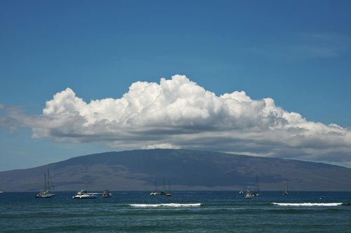 CEO lương cao nhất TG sẽ làm gì sau từ chức? - 1