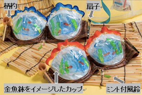 12 kiểu nội y gây sốc vì quá kỳ cục - 10