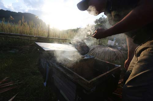 Nuôi ong nguy hiểm, thu tiền tỷ mỗi mùa ở Mộc Châu - 3