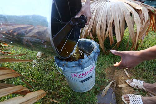 Nuôi ong nguy hiểm, thu tiền tỷ mỗi mùa ở Mộc Châu - 7