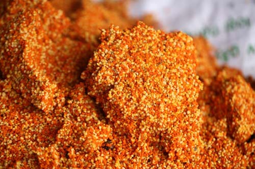 Nuôi ong nguy hiểm, thu tiền tỷ mỗi mùa ở Mộc Châu - 8