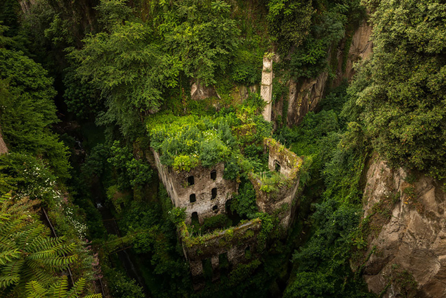 Một lâu đài đá bị lãng quên là nơi sinh sống của cả một thảm thực vật ở Sorrento, Ý
