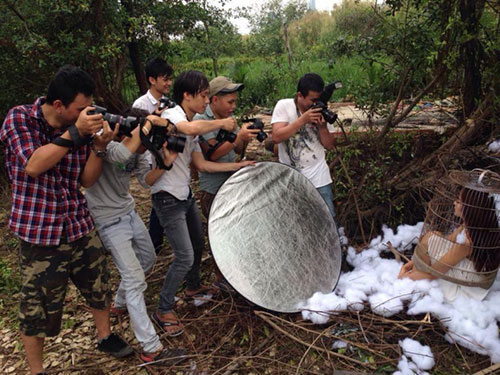 Ngắm cô gái xinh đẹp chụp ảnh trong lồng chim - 8