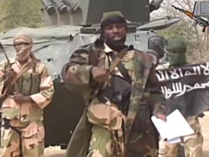 Tin tức trong ngày - Nigeria tiêu diệt thủ lĩnh phiến quân "hồi sinh"