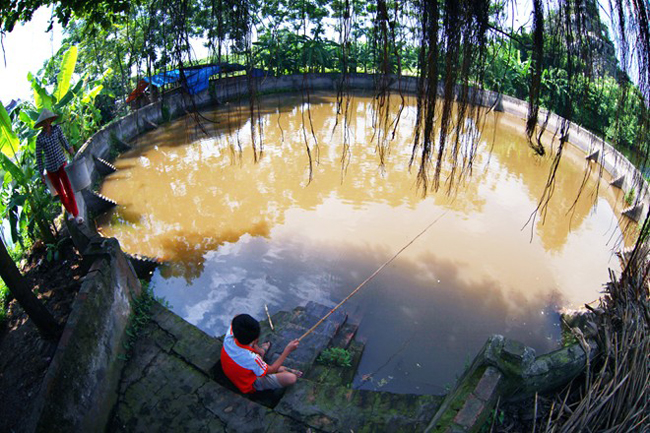 Câu cá ngày nghỉ học ở giếng làng Phương Ngoại, xã Trung Châu, huyện Đan Phượng.
