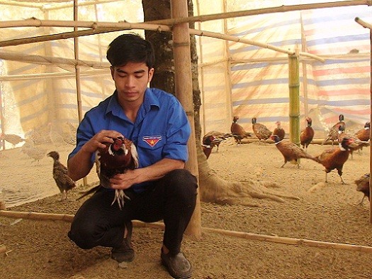 9X tay trắng kiếm trăm triệu từ vườn phật thủ - 3