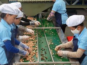 Thị trường - Tiêu dùng - Xuất nhập khẩu: Gỡ đầu này tắc đầu kia