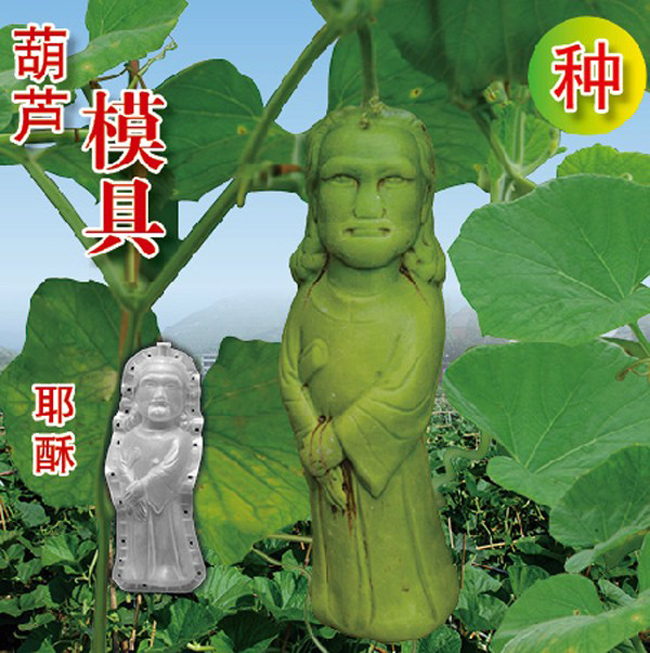 Quả bầu hình Chúa Giê – su


