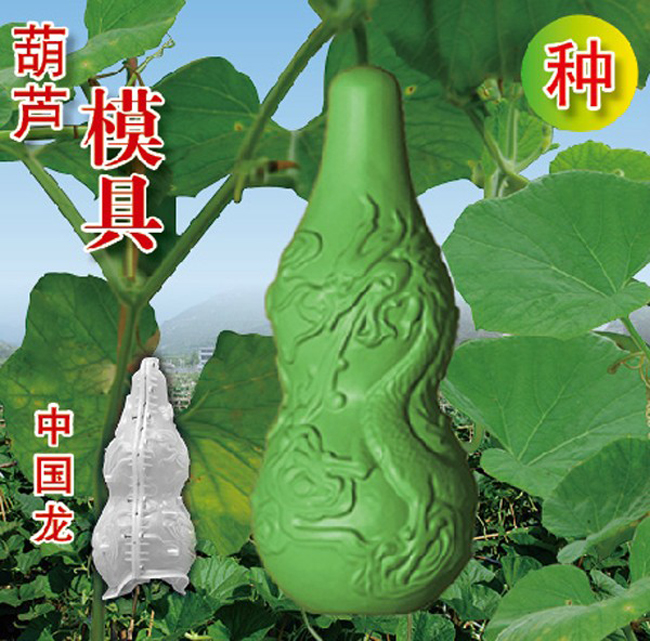 Quả bầu hình hồ lô


