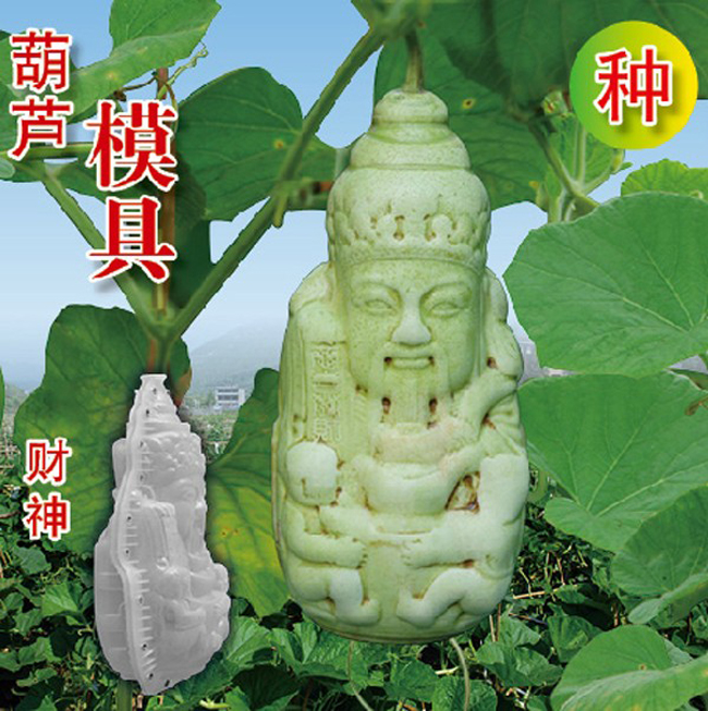 Quả bầu hình Phúc (Phúc - Lộc -Thọ)


