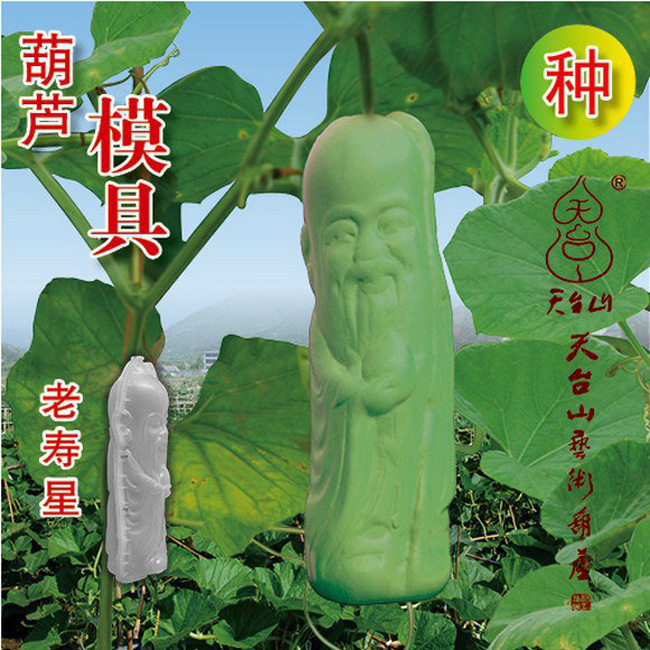 Quả bầu hình ông Thọ


