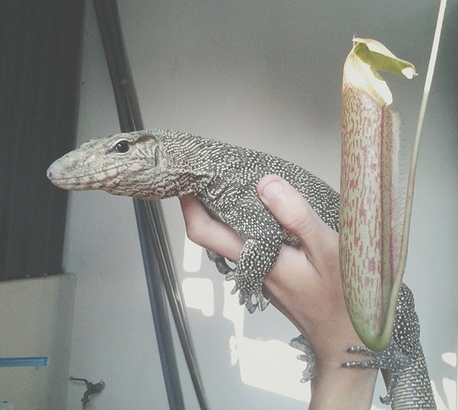 9X từng bị xa lánh vì sở thích độc - 6