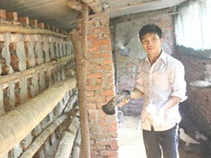 Bạn trẻ - Cuộc sống - Chàng trai làm giàu từ mô hình nuôi chim, rắn