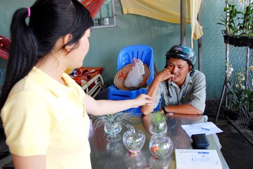 Cây sống không cần đất đắt hàng ở miền Tây - 5