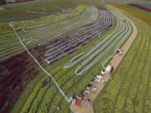 Tin tức trong ngày - Ảnh ấn tượng: Chiếc váy cưới dài hơn 4km