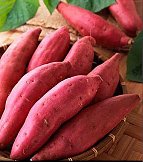 Eo thon, dáng nuột với món khoai lang nướng - 2