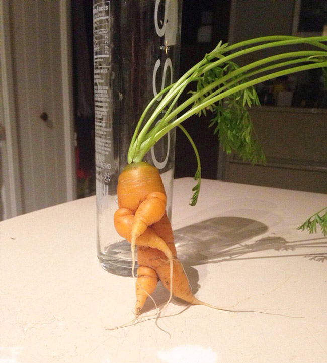 Củ cà rốt này thậm chí còn có chân và tay giống như con người.