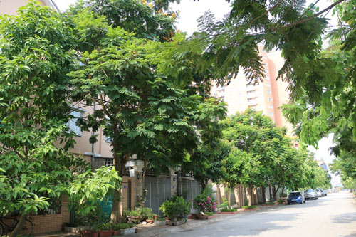 Bất động sản phía tây Hà Nội tăng nhiệt - 1
