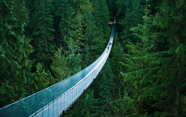 Du khách đến thành phố Vancouver (Canada) thường không thể bỏ qua chuyến ghé thăm cây cầu treo độc đáo Capilano bắc ngang dòng sông ở độ cao 70 m.