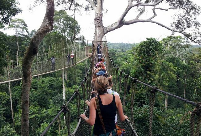 Cầu Canopy ở Ghana có tay vịn và thành cầu lằm bằng lưới để chắc chắn không ai bị rơi xuống thảm cây rậm rạp của Rừng quốc gia Kakum phía dưới. Cây cầu dài 300m và cách mặt đất 30m. 