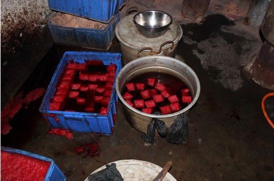 Kinh hoàng cơ sở dùng chất cực độc chế tiết vịt - 6