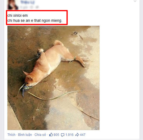Cô gái đăng ảnh giết chó ăn sinh nhật lên Facebook gây xôn xao dân mạng - 1
