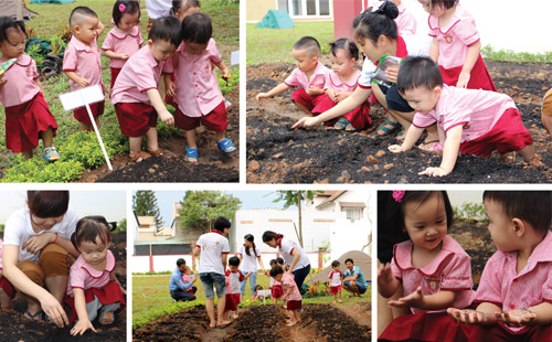 Những hoạt động hè bổ ích trẻ mầm non nên trải nghiệm - 3