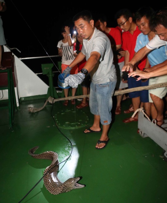 Câu đêm ở Trường Sa - 6