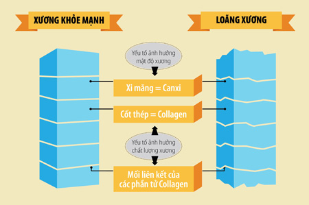 MK7 với sức khỏe con người - 2