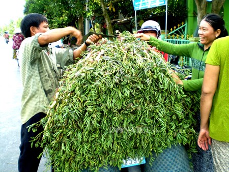 Gỏi tôm rau nhút - món ngon mùa nước nổi - 2