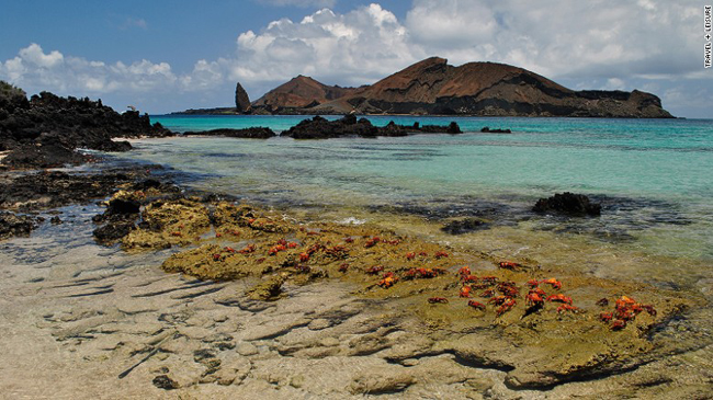 Quần đảo Galapagos ở Ecuador. Đây là địa danh đầu tiên được UNESCO đưa vào danh sách di sản thế giới. Nơi đây có phong cảnh thiên nhiên hoang dã tuyệt đẹp, thu hút những du khách đam mê khám phá và những người đam mê nhiếp ảnh. Động vật hoang dã ở Galapagos khá đa dạng với các loài như sư tử biển, chim cốc, thằn lằn và chim cánh cụt… Cảnh quan núi lửa và những bãi biển tương đối hoang sơ vô cùng hấp dẫn.
