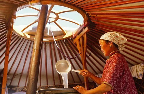 Những trải nghiệm tuyệt vời chỉ có ở Mông Cổ - 7