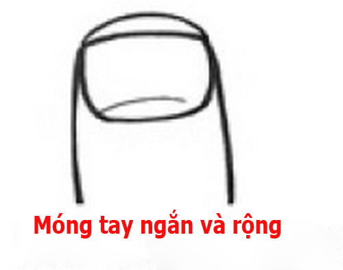 Đoán tính cách qua hình dạng móng tay - 2