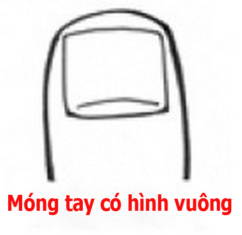 Đoán tính cách qua hình dạng móng tay - 4