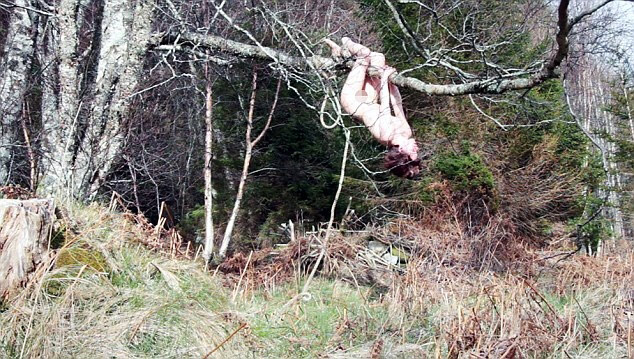 Tai nạn kỳ khôi trên phim trường vì khỏa thân, khóc lóc - 2