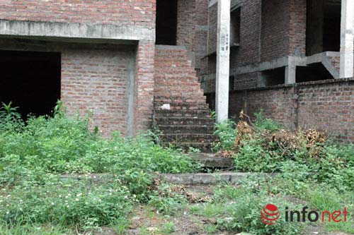 Biệt thự chưa người ở đã “hóa" nhà cổ giữa HN - 5