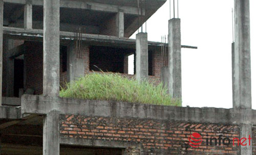 Biệt thự chưa người ở đã “hóa" nhà cổ giữa HN - 12