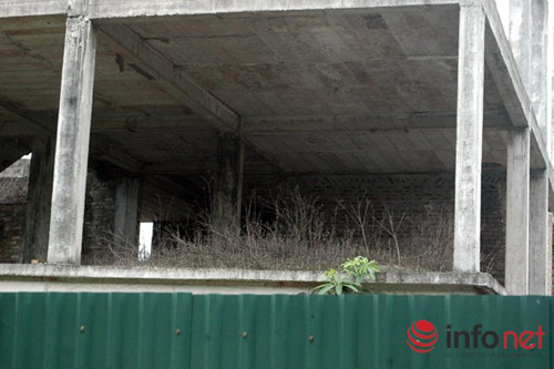 Biệt thự chưa người ở đã “hóa" nhà cổ giữa HN - 15