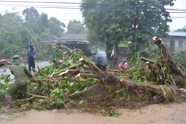 Mưa lớn trút xuống Quảng Ninh gây sạt đồi, gãy cầu - 9