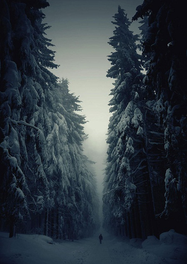 Đường mòn băng rừng trong mùa đông ở Séc.
