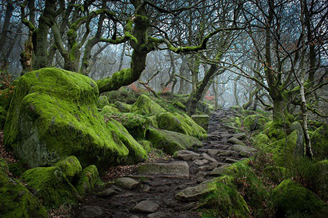 Hẻm núi Padley, Peak District, Anh.
