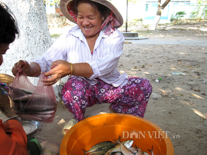 Về Rạch Giá thưởng thức cá ba thú nấu canh dưa cải - 2