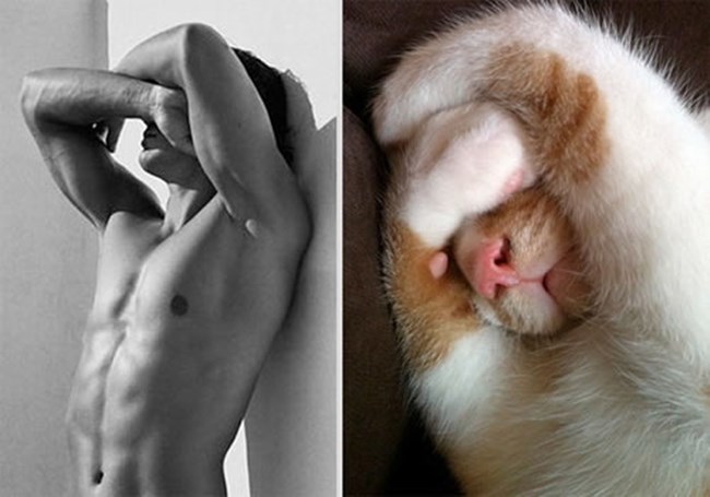 Thôi đi, tớ buồn ngủ lắm rồi.