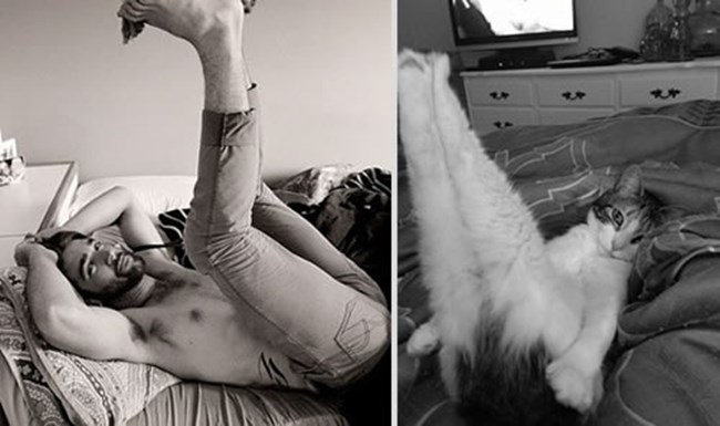 Mèo thì cũng phải tập yoga chứ nhỉ.